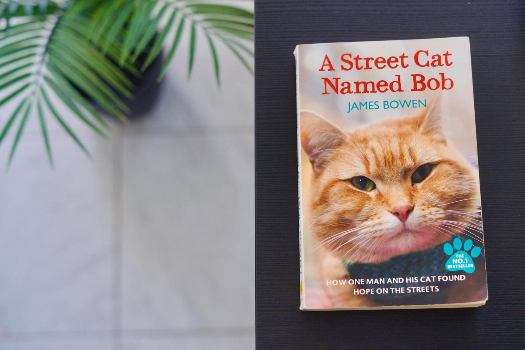 Apartamento El Gato กอสตา เดล ซิเลนซิโอ ภายนอก รูปภาพ